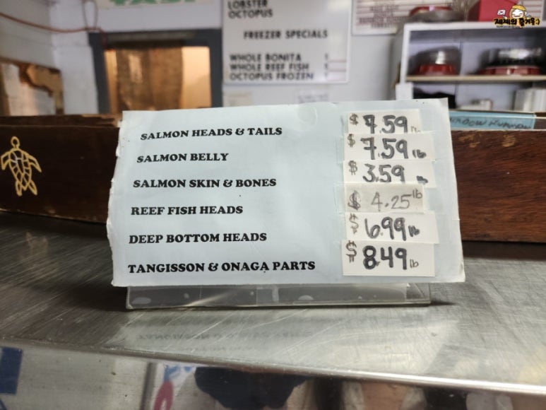 오나가(ONAGA) 이미지