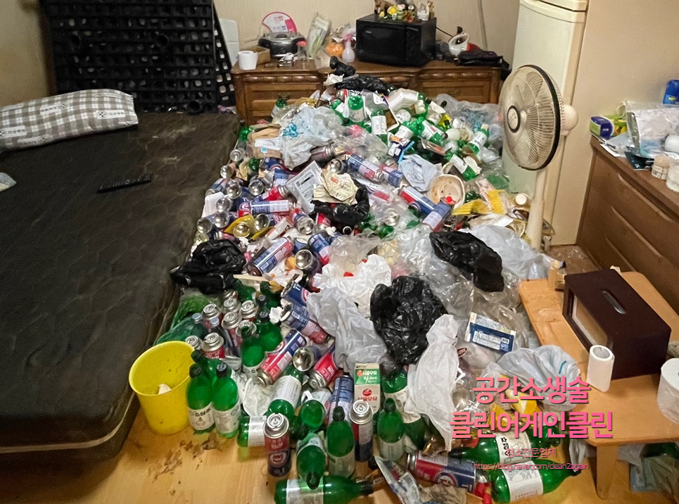 클린어게인 이미지