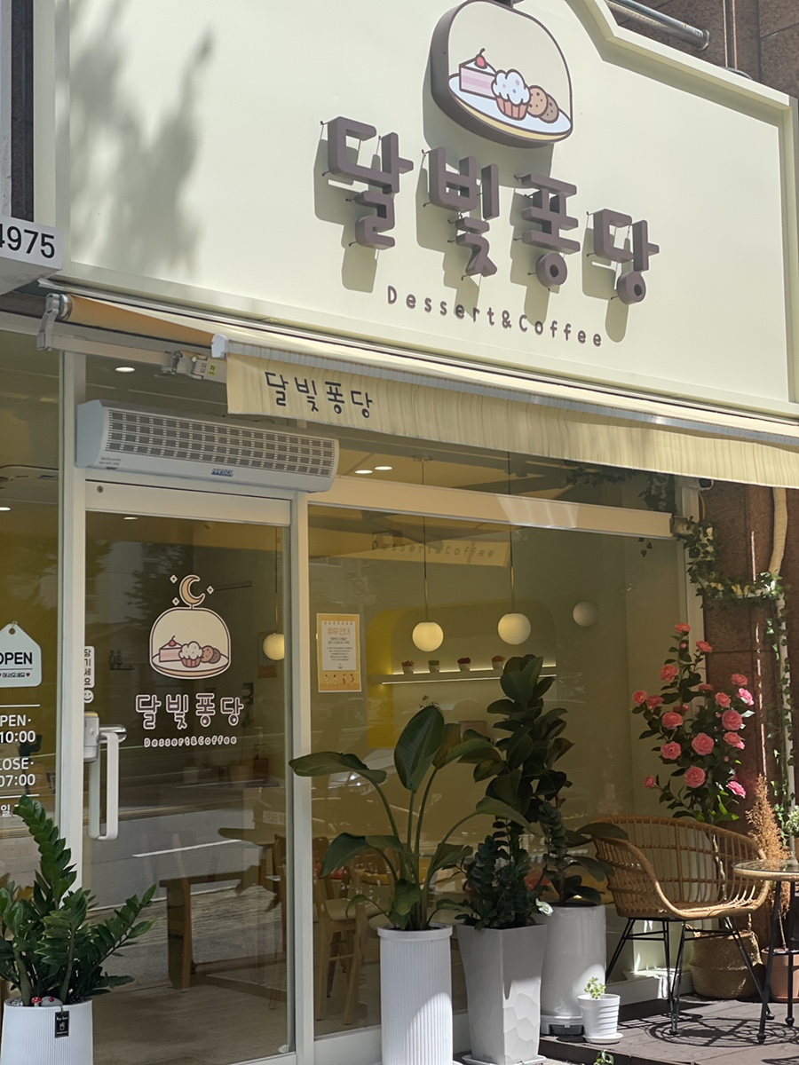 달빛퐁당 이미지