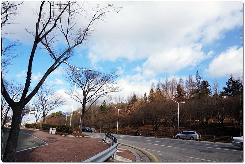 돌배기집광주 이미지