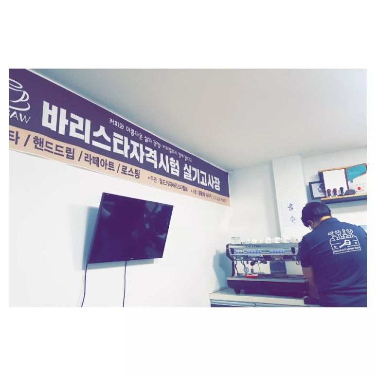 콩들의 이야기 이미지