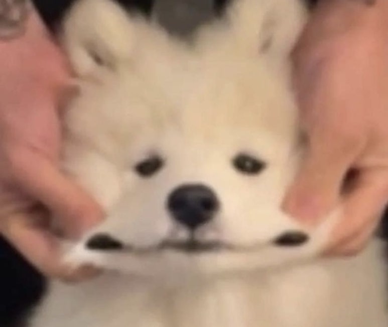 니로즈믹 이미지