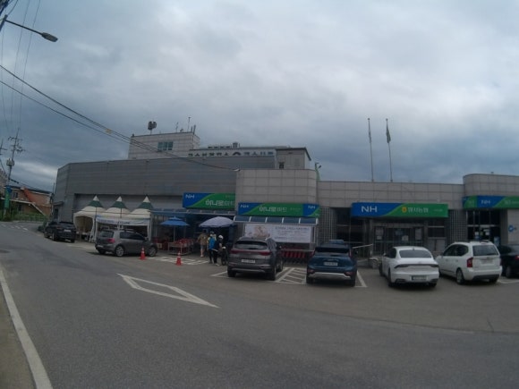 양서농협하나로마트국수점 이미지