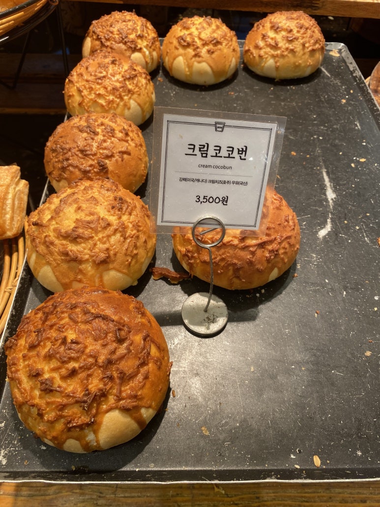 코코번 이미지