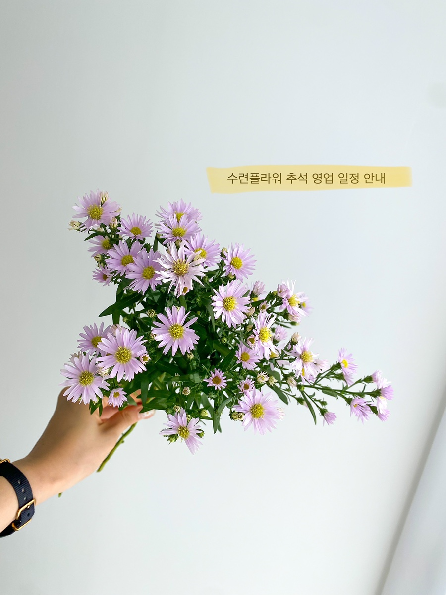 수련플라워 이미지
