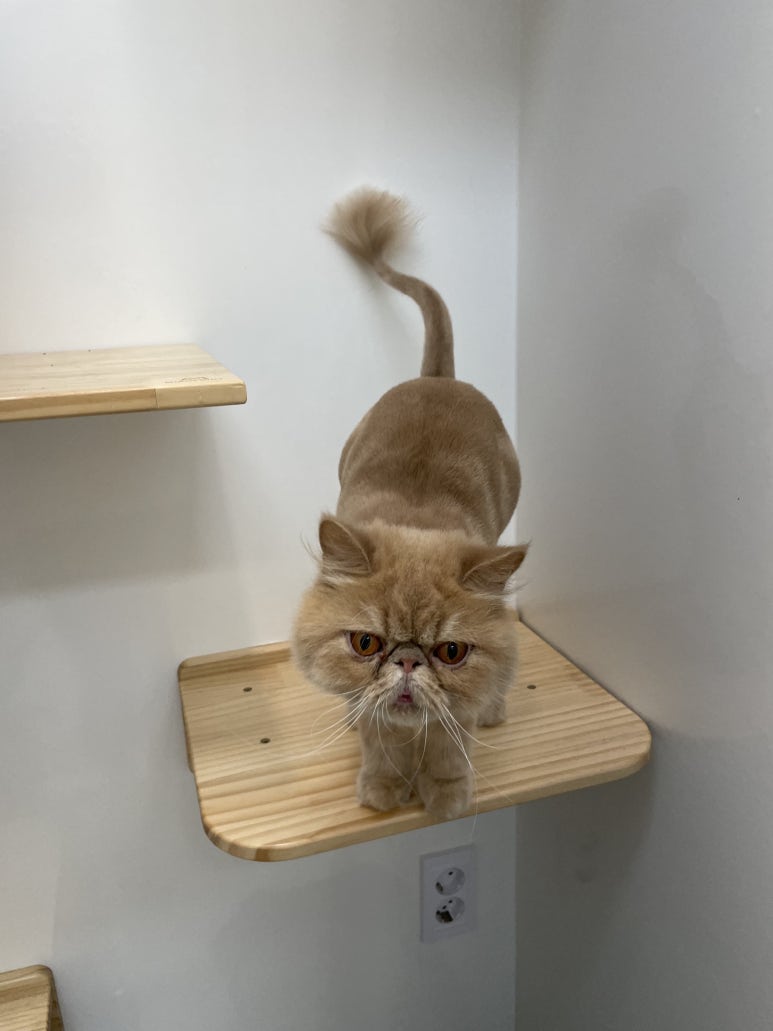 진이발관 이미지