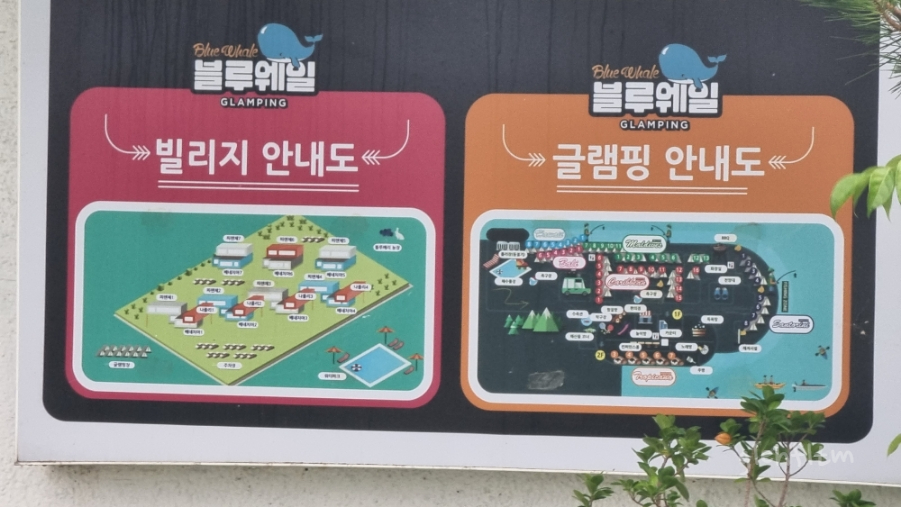 이너웨일 이미지