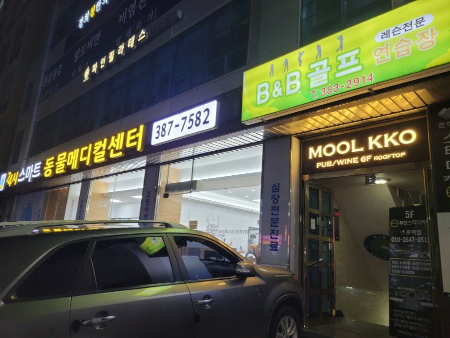 부송이네마포나루 이미지