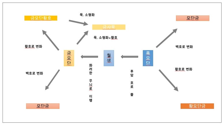 다인그래픽 이미지