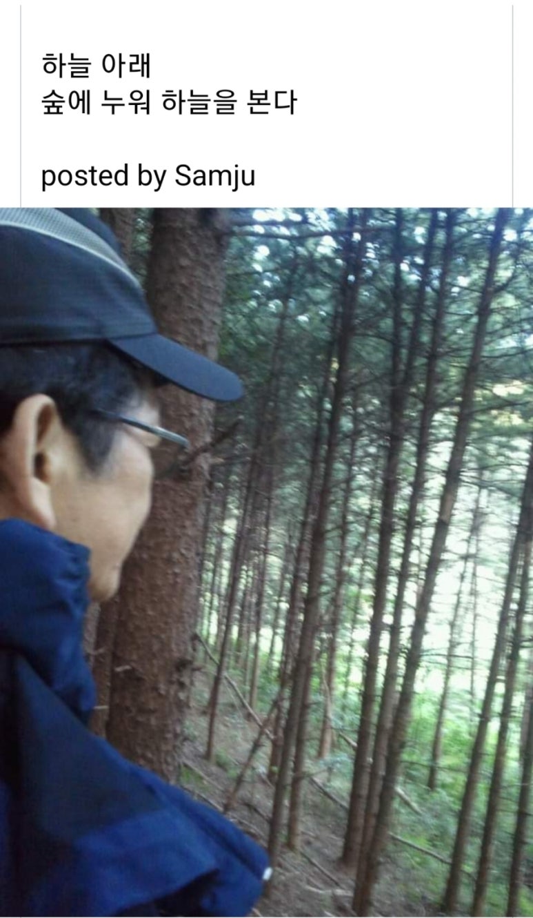푸른새벽캠프장 이미지