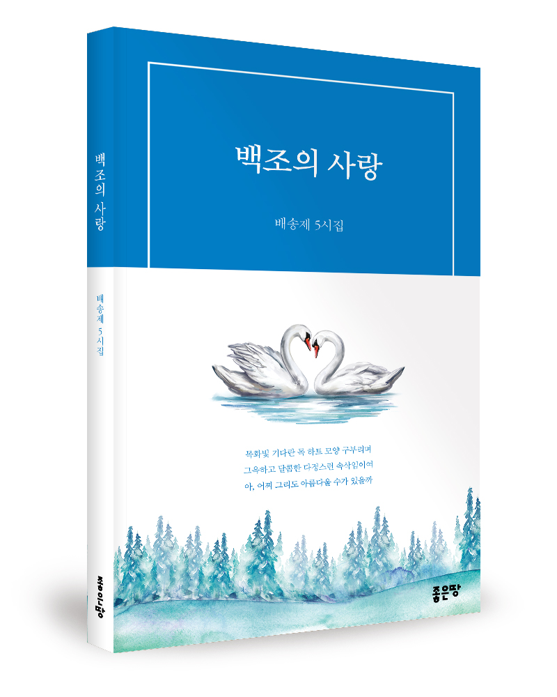 백조와 믿음 이미지