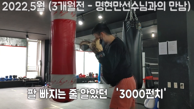 앨바트로휘트니스 이미지
