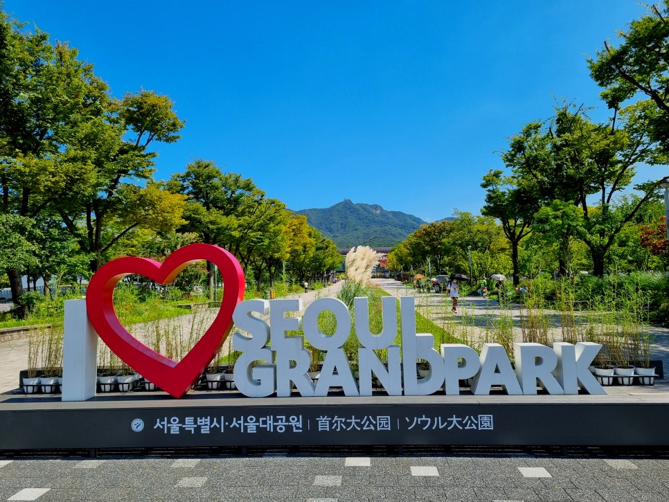 청계산그집 이미지