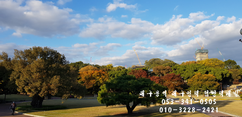 탑 직업소개소 이미지