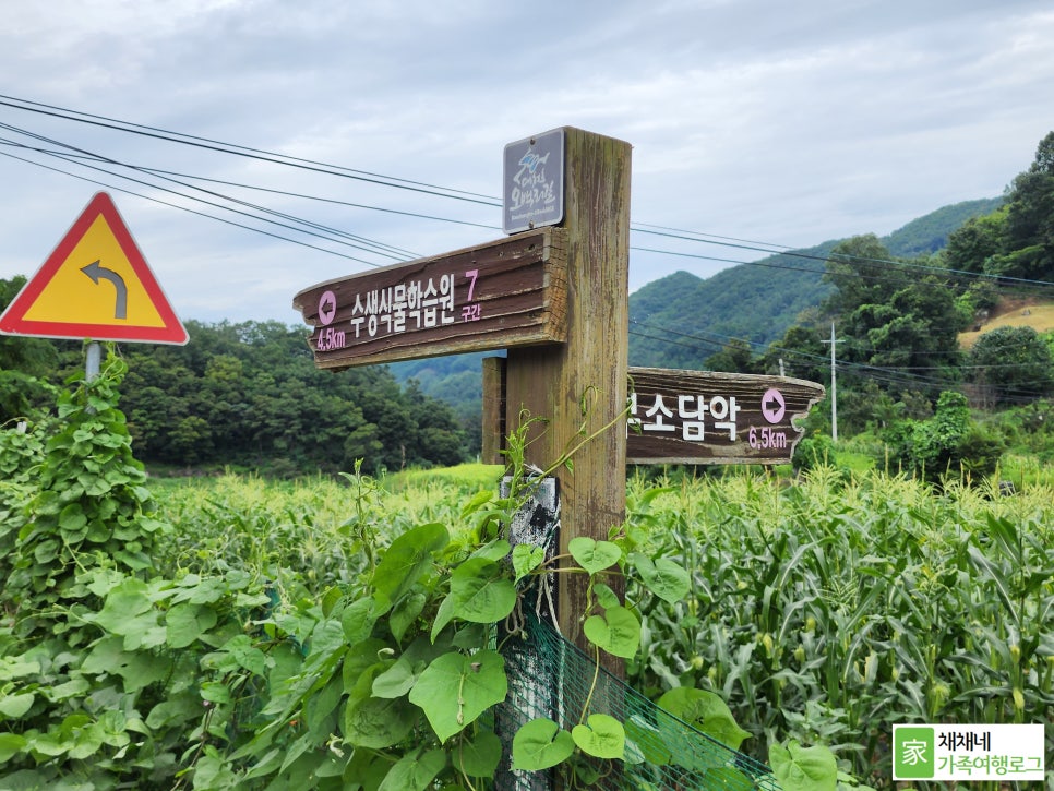 행복한찹쌀과배기 이미지