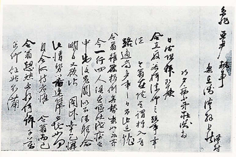 펠리체(Felice) 이미지