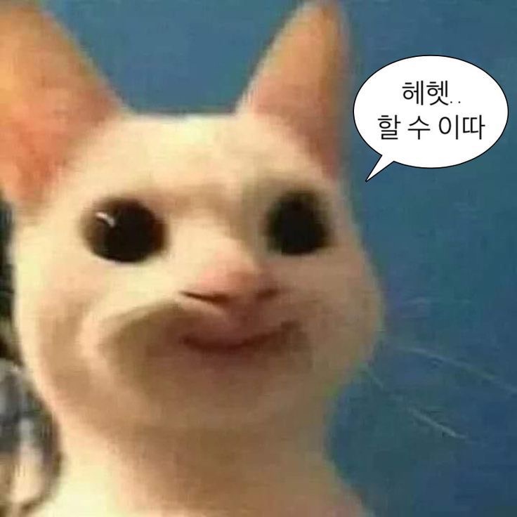 온리원네일 이미지