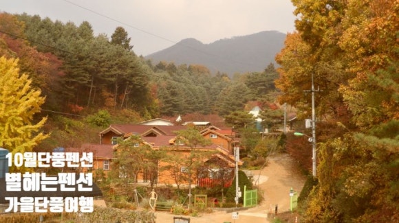 숲속펜션 이미지
