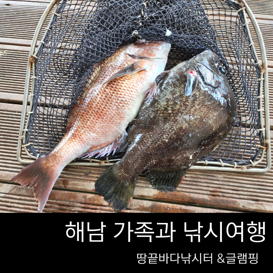 땅끝바다낚시터 이미지