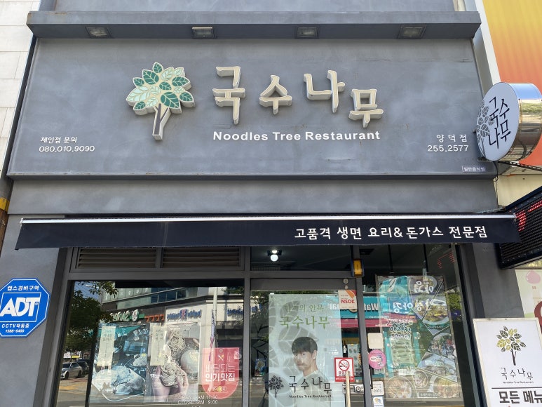 국수나무포항 이미지