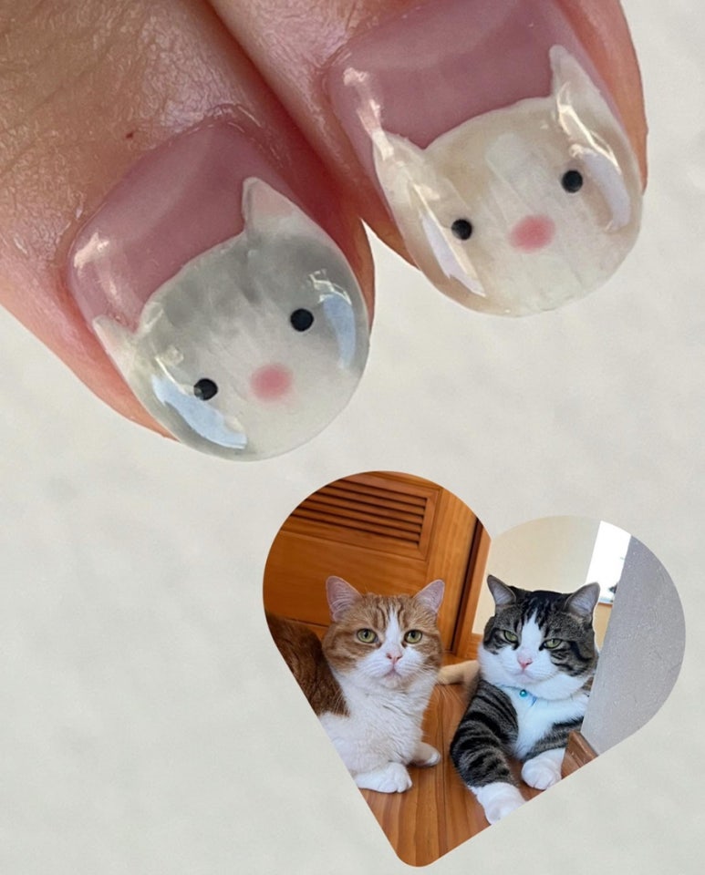 다즈네일 이미지