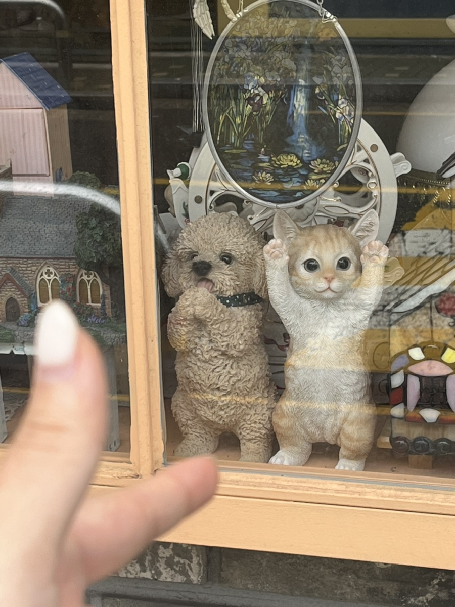 용안가스 이미지