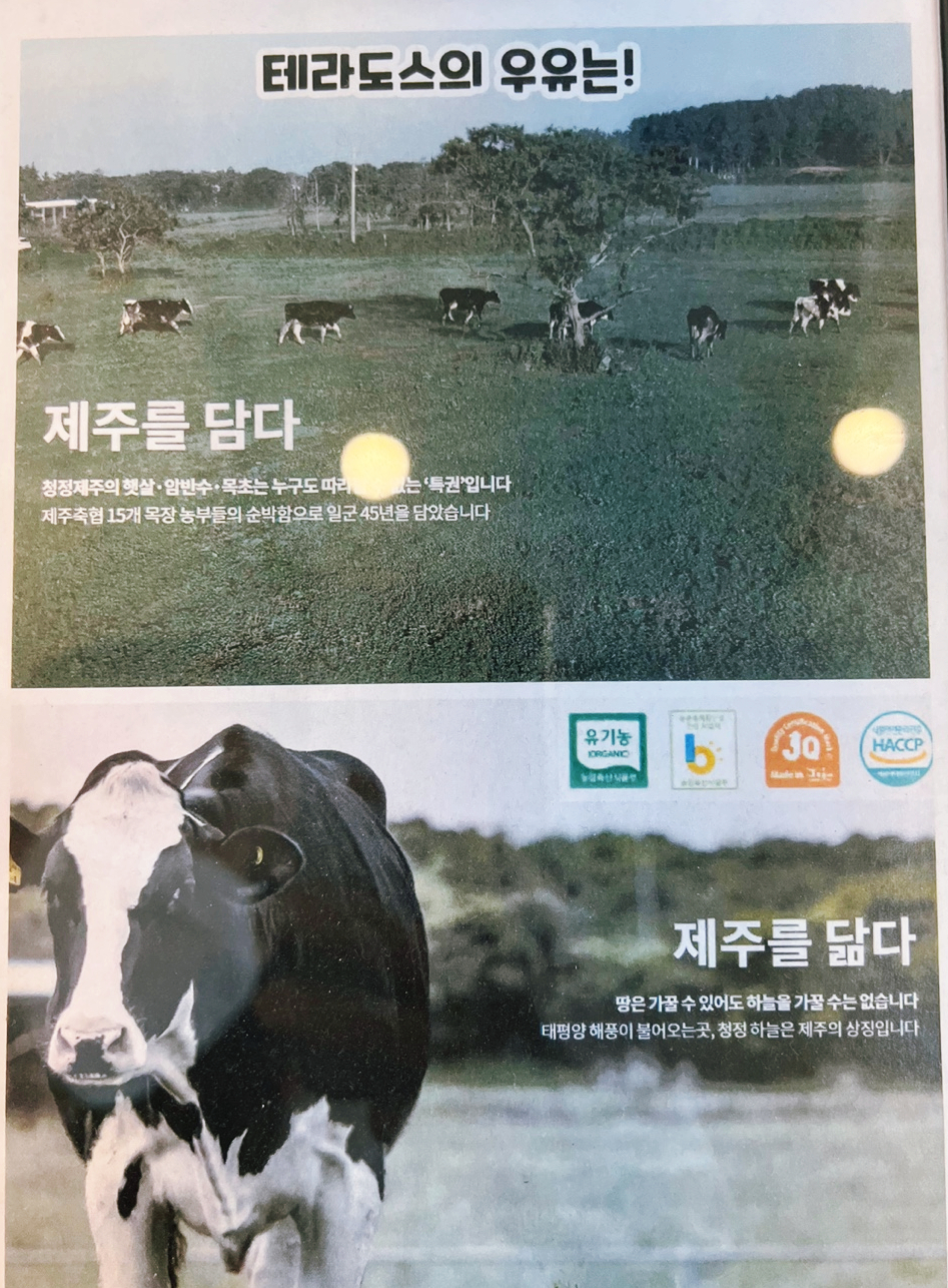 (주)테라도스 이미지