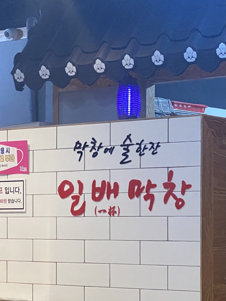 일배막창 이미지
