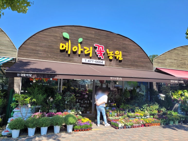 강동꽃농원 이미지