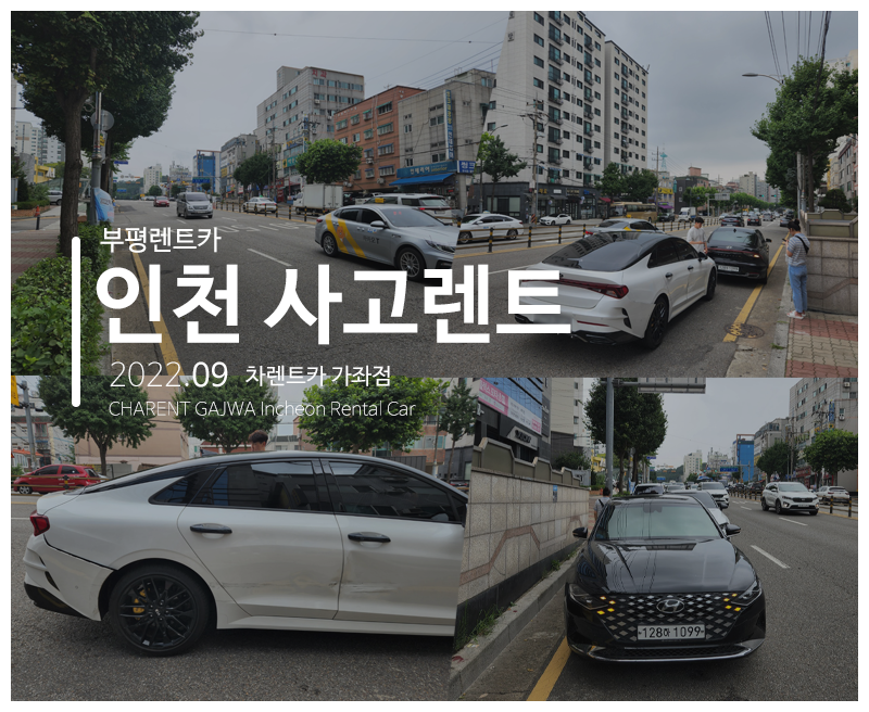동수카 이미지