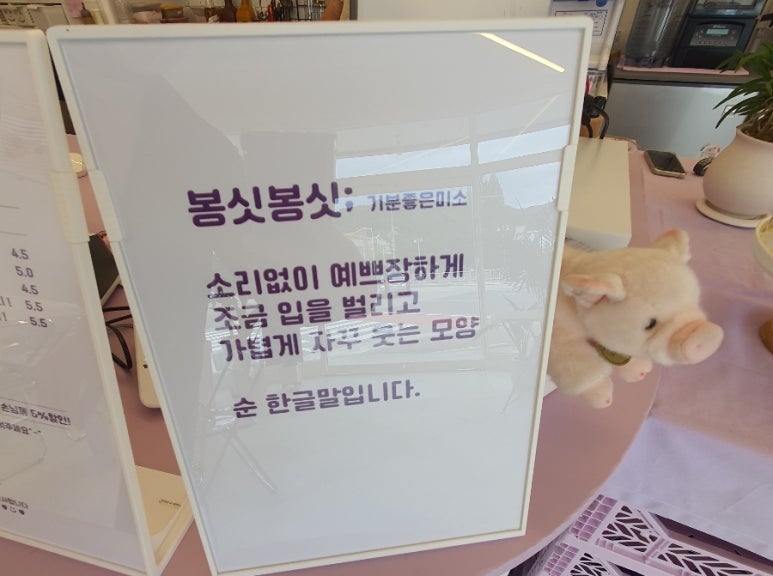 샤스민 이미지