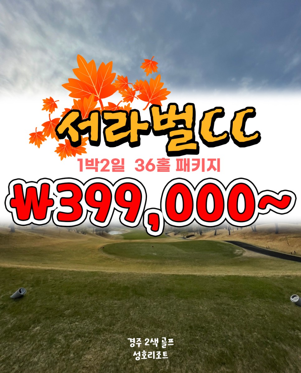 서라벌여행사 이미지