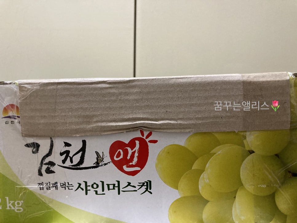 라이프룻 이미지