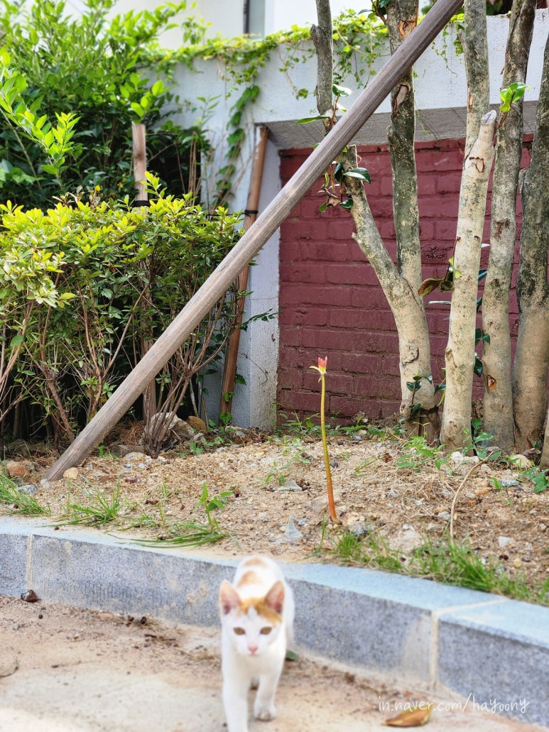 스튜디오구현 이미지