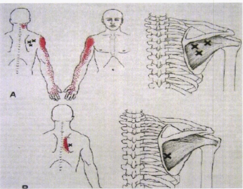 대실365한의원 이미지