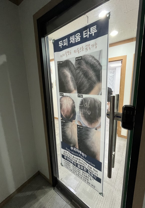 도도브로우 이미지