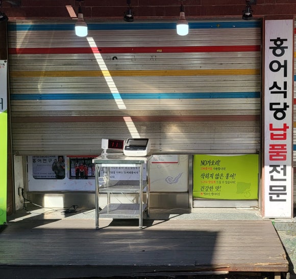 도씨네홍어 이미지