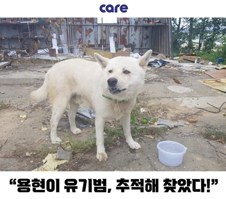 용현컨테이너 이미지