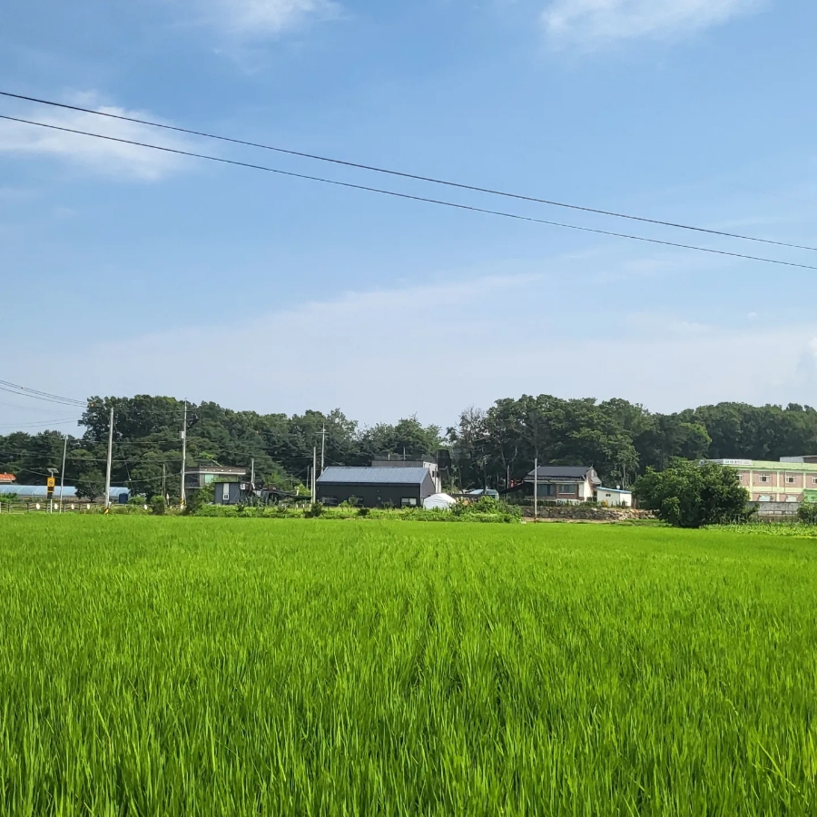 송해초등학교 이미지