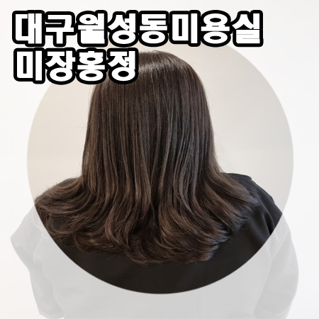 미장홍정 이미지