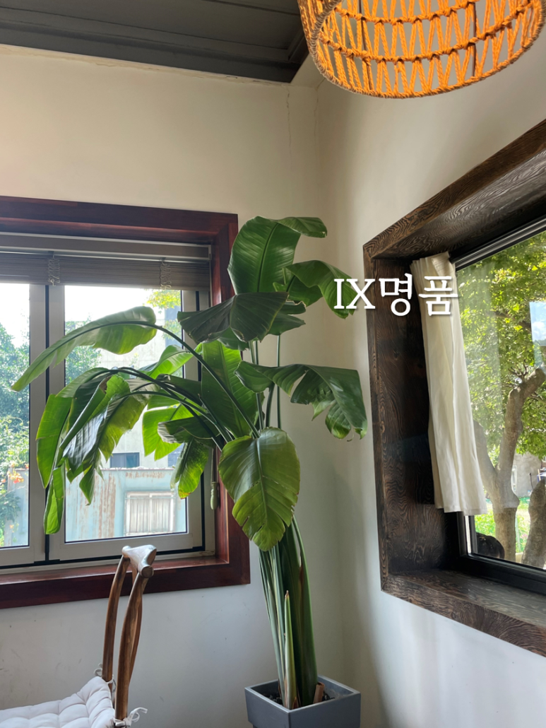 몽키가든 이미지