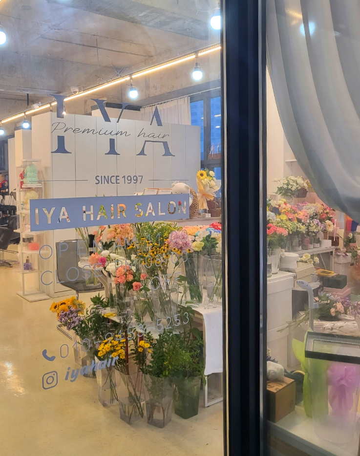 켈리플레르 이미지