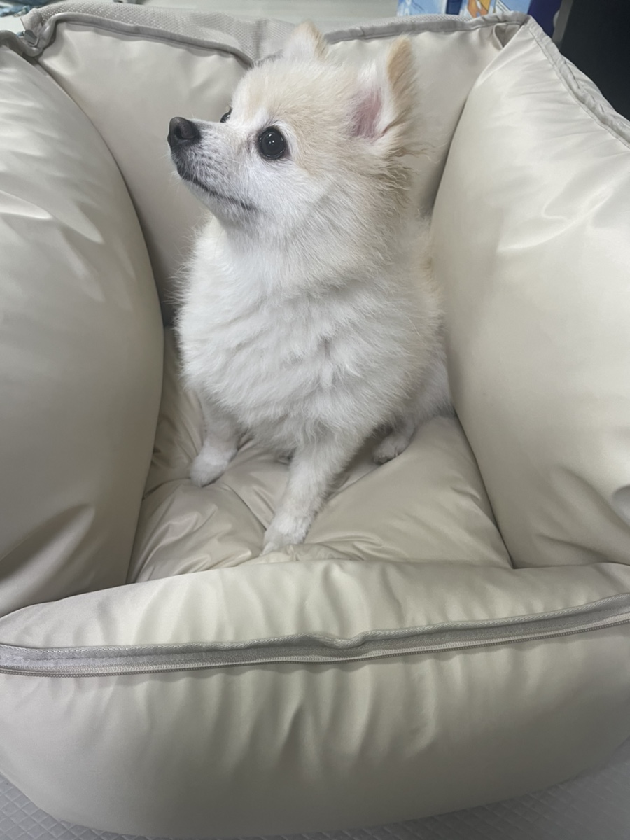 카방이 이미지