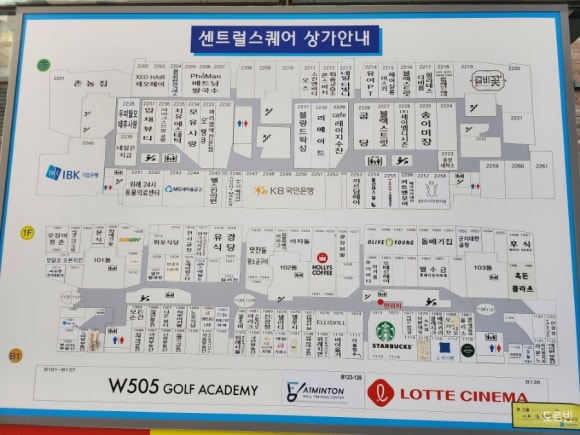 율이파파 이미지