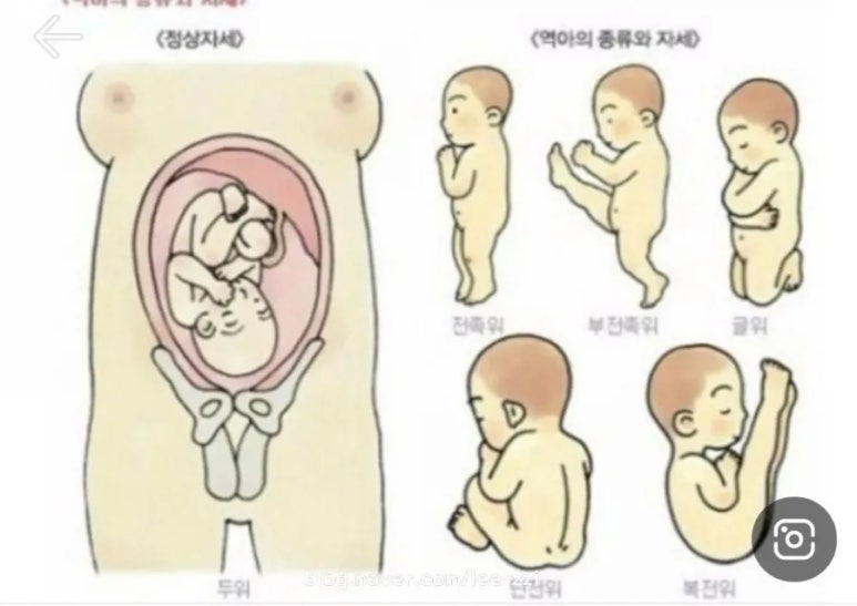 연세하임산부인과의원 이미지