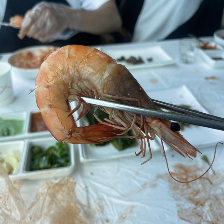 해당화회마을 이미지