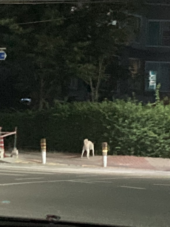 더벤티 익산원광대점 이미지