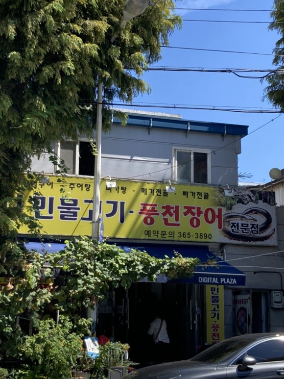 엄니민물고기 이미지