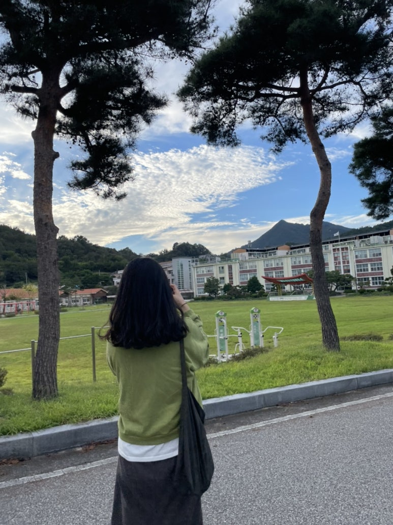 버지니아치킨비사벌체인점 이미지