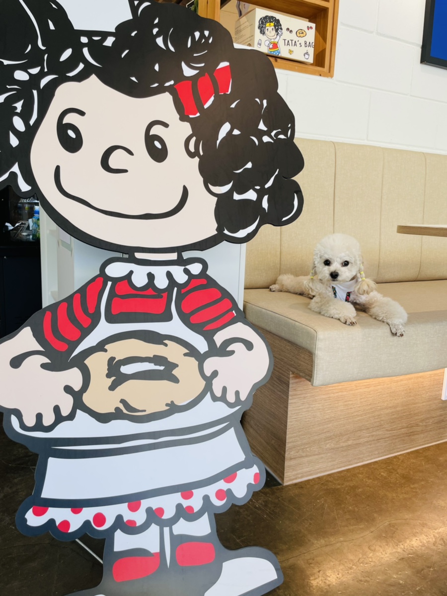 타타스베이글아산용화점 이미지